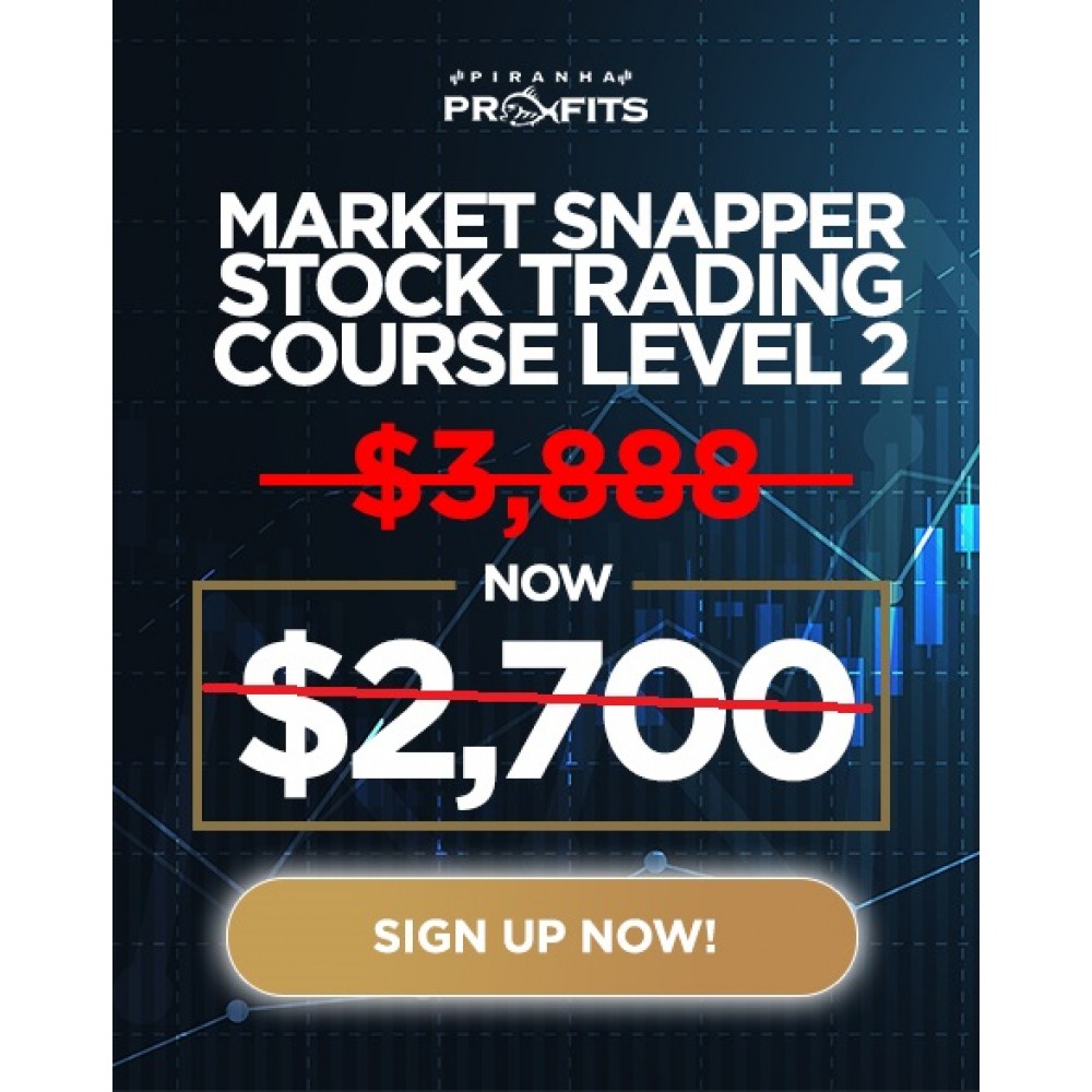 [DOWNLOAD] Piranha Profits Stock Trading Course Level 2: Market Snapper